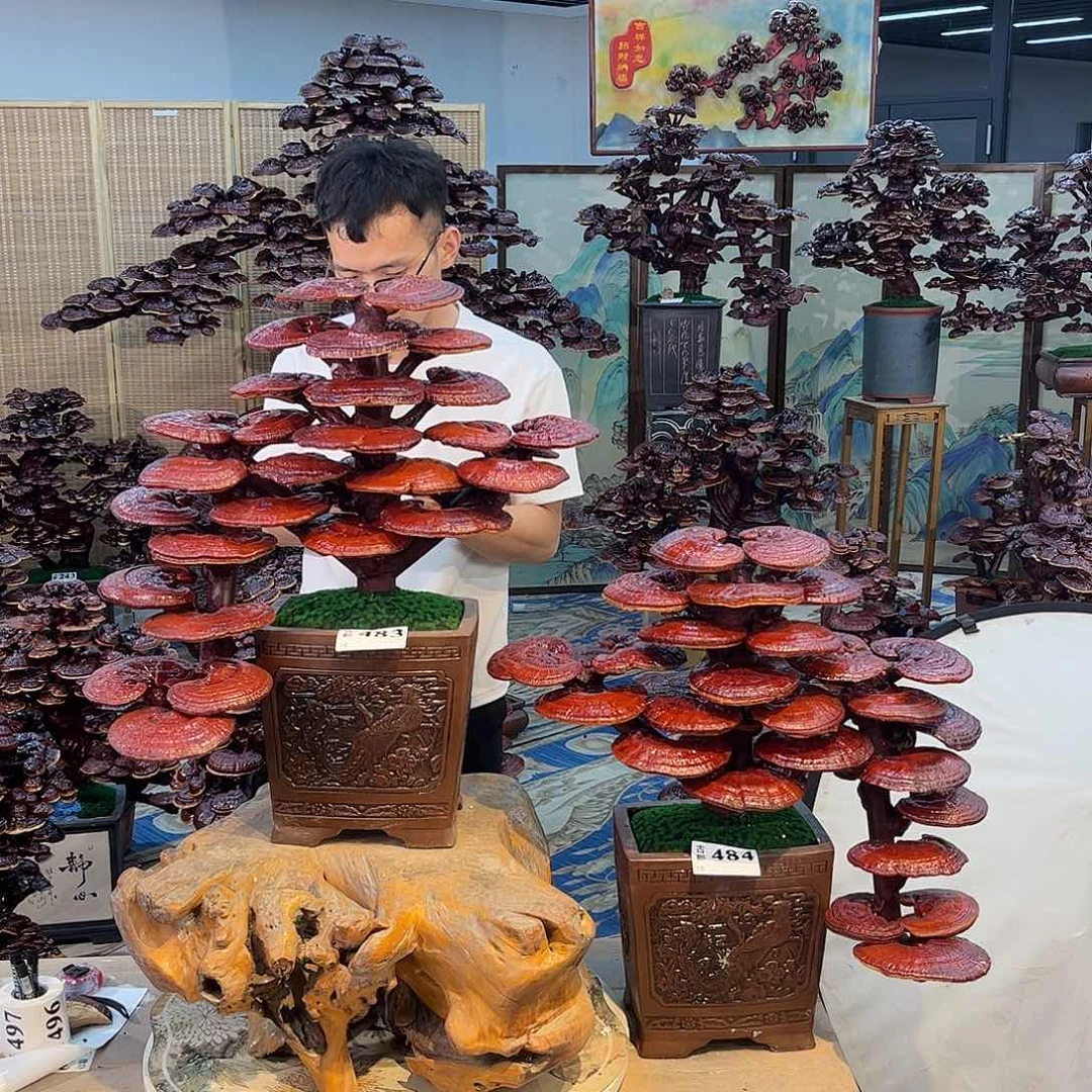 无花朵88888888888888888888