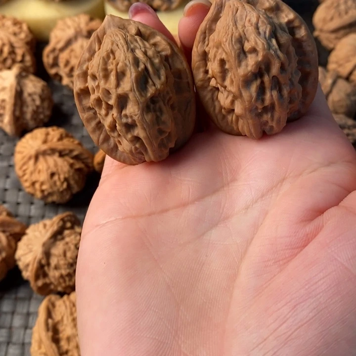 35大红袍大红袍大红袍