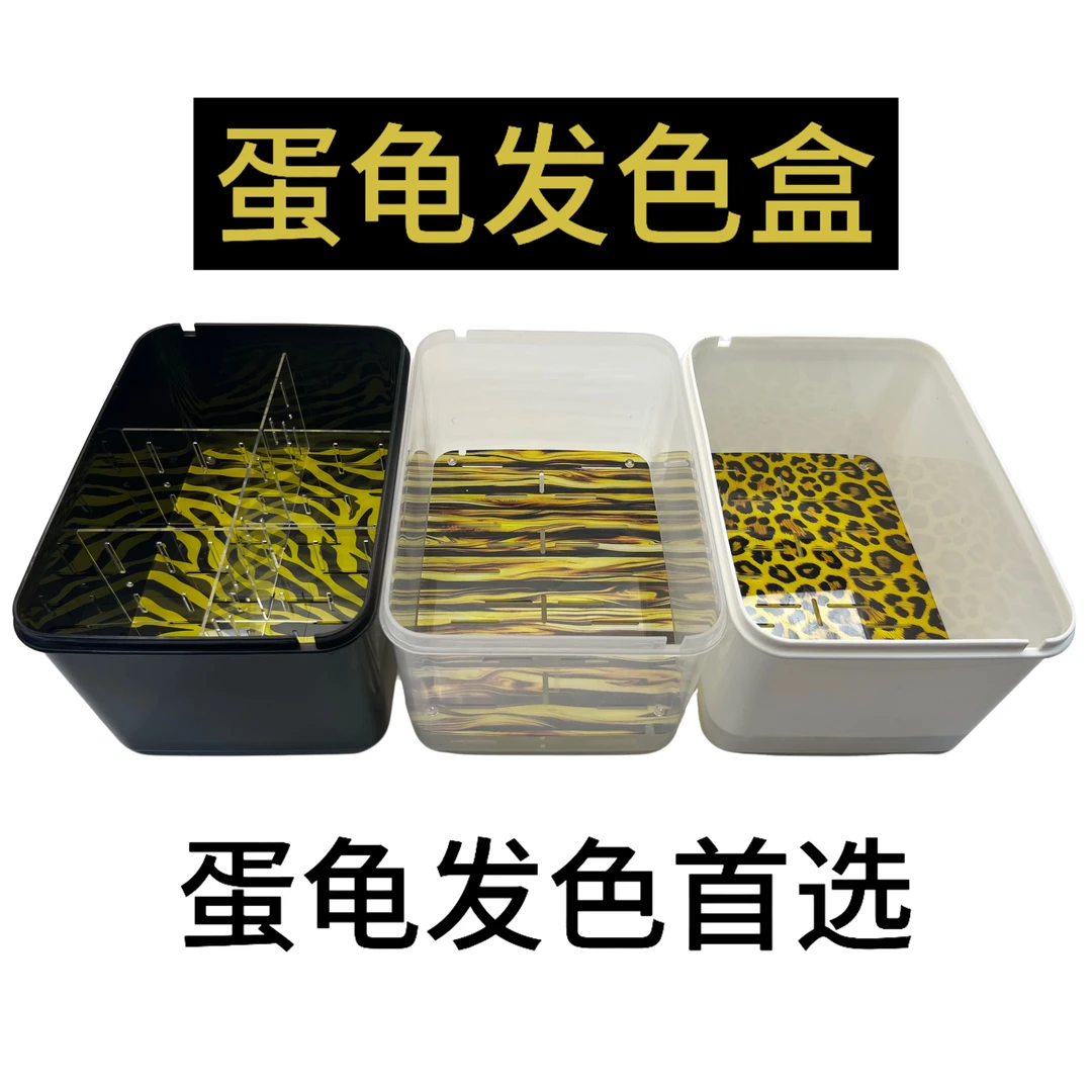 方形窄桥蛋龟木纹发色板乌龟发色育苗隔离盒果核头盔蛋龟饲养龟缸