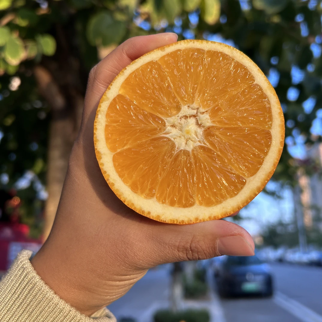 【大小果混装】赣南脐橙正宗新鲜现摘香甜多汁