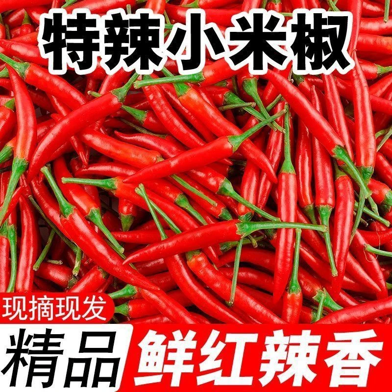 新鲜小米辣特辣小米辣鲜椒朝天椒红辣椒指天椒泡脚红辣椒产地现货