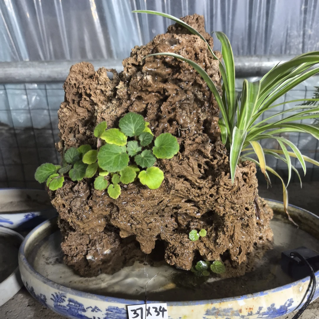 吸水石卢管石盆景吸水石