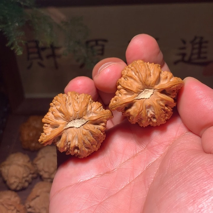 密纹全品38麻核桃