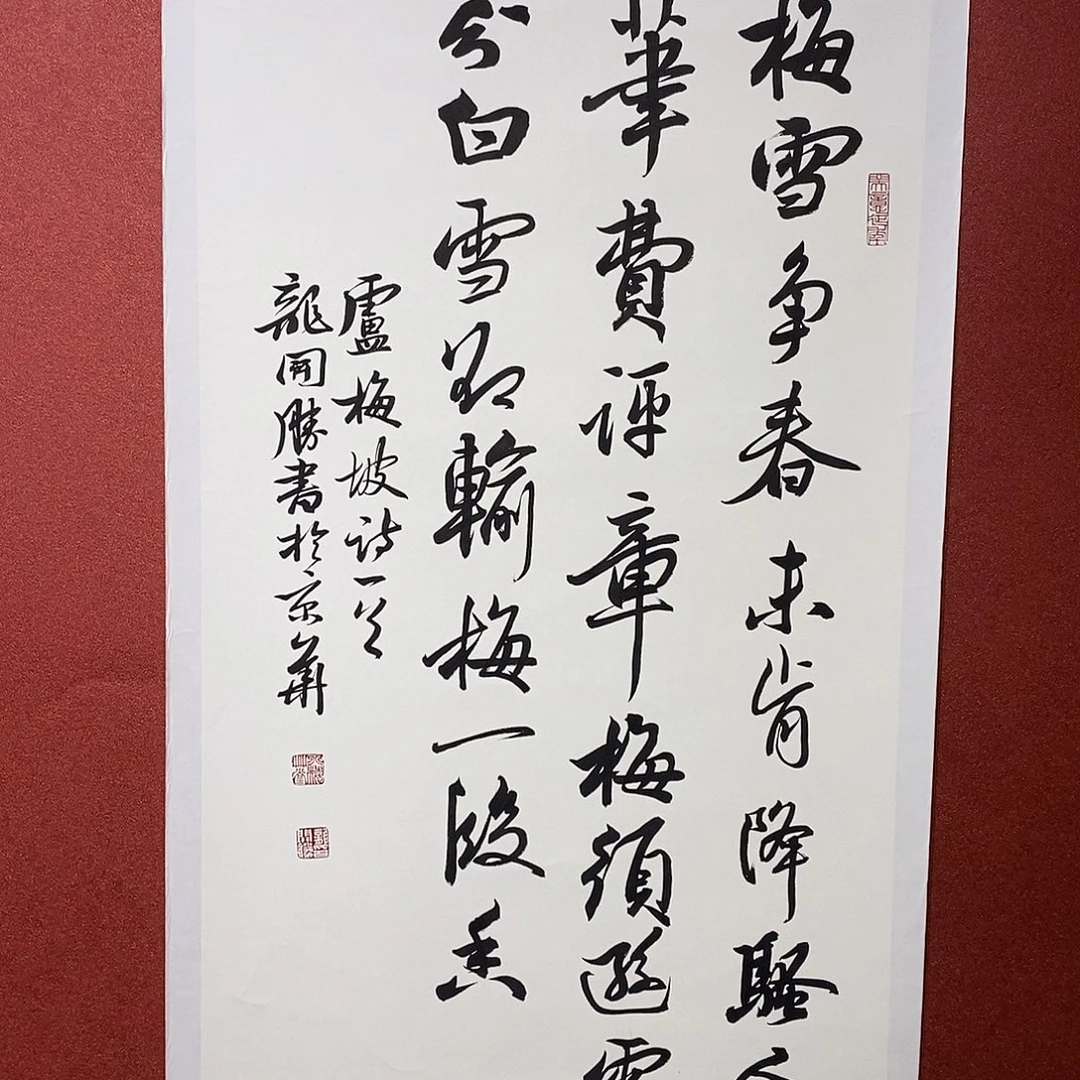 书法梅雪直播大漏