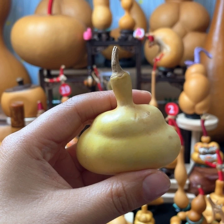 依***酌哈斯木瓜汤也没有