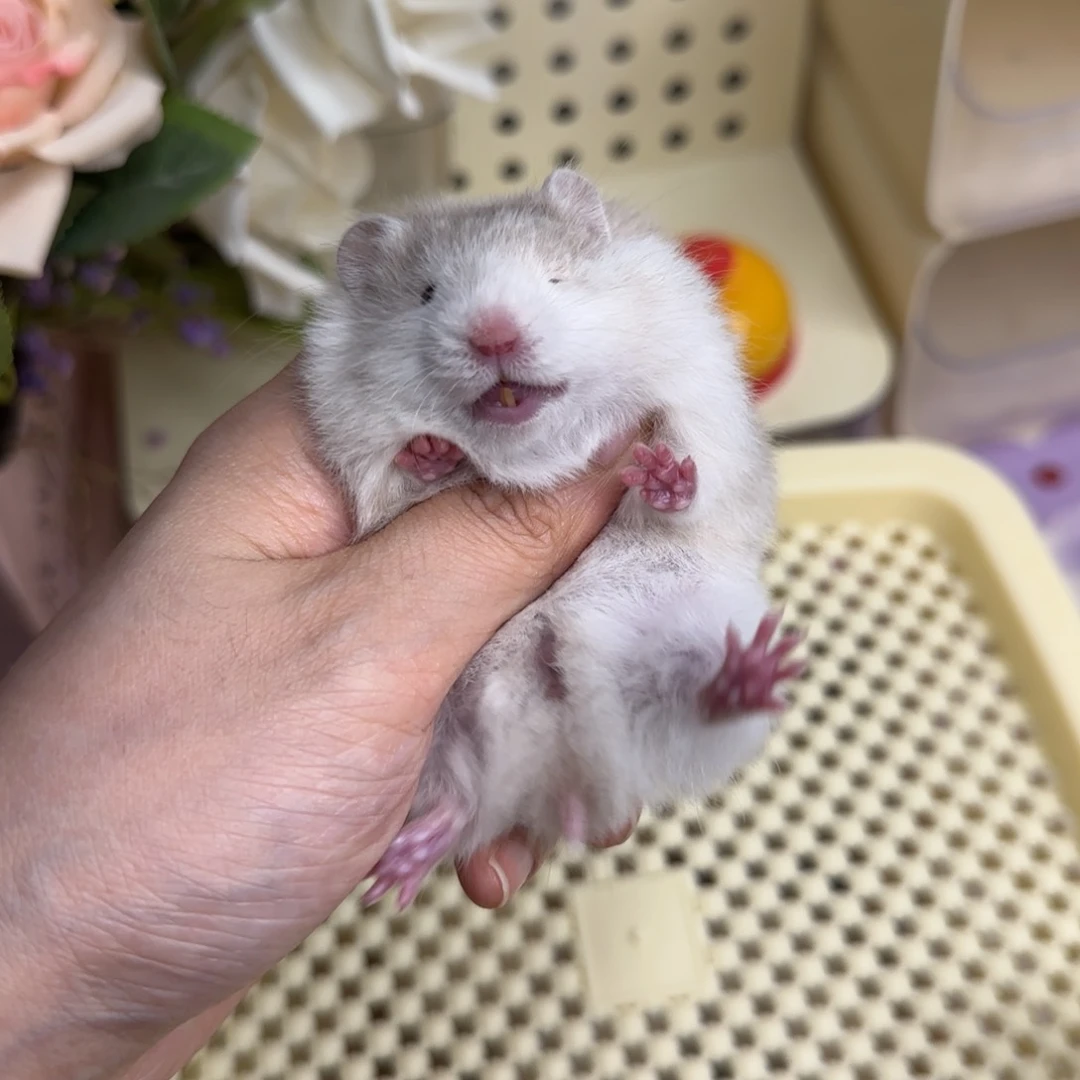 5.27生日巧波妹妹