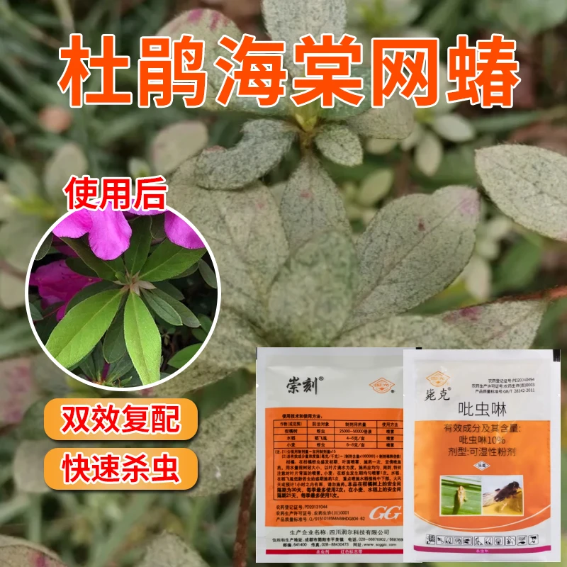国光毙克吡虫啉杀虫剂杜鹃海棠网蝽专用杀虫剂花卉盆栽通用农药