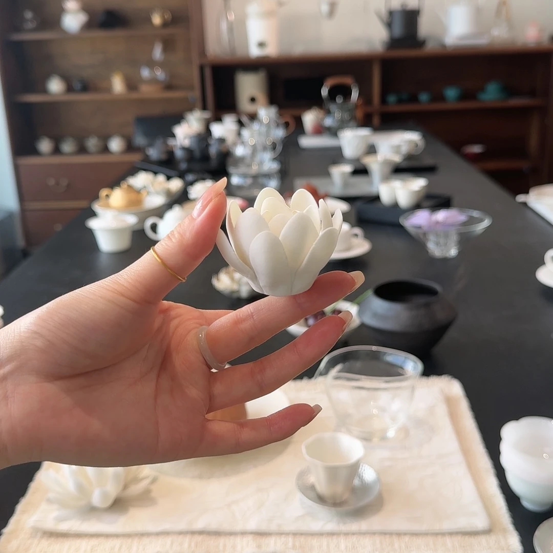 小莲花香插 直播福利