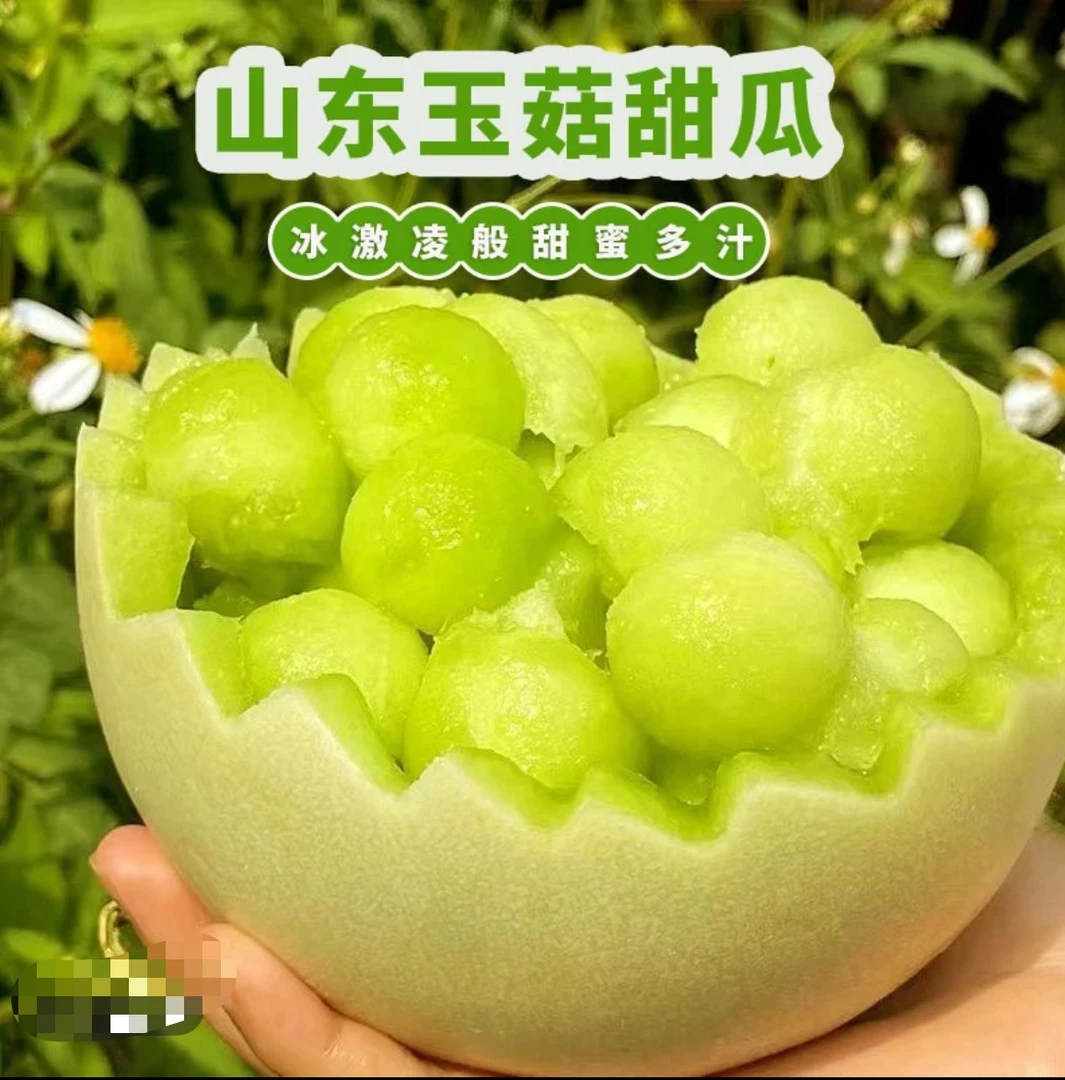 山东头茬玉菇甜瓜冰激淋甜瓜软糯香甜