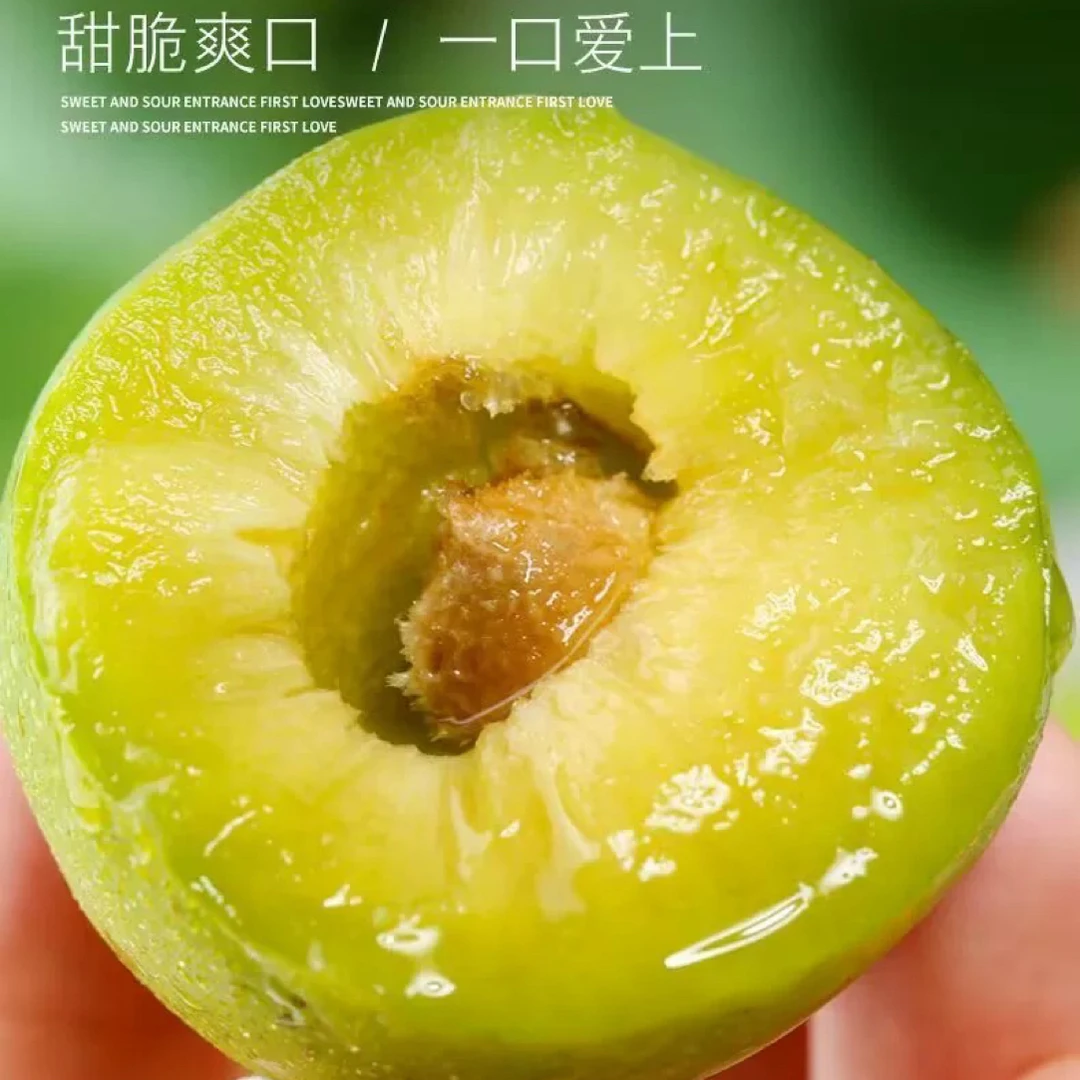 【茂县冰糖李】四川茂纹冰糖李 特级脱骨李 高海拔种植清脆多汁四川省