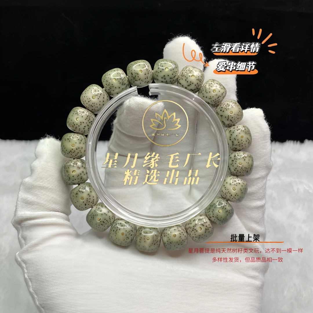 AA56原生态星月菩提手串老果老料饱满星12*11mm文玩【多样性发货】