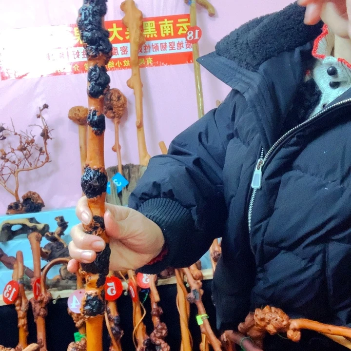 静***歌大叶紫檀（黑酸枝木类）