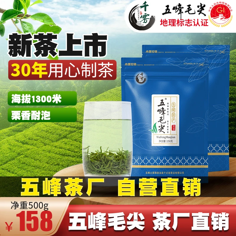 【2025新茶现货】五峰绿茶毛尖千雾湖北宜昌三峡春茶炒青茶叶500g