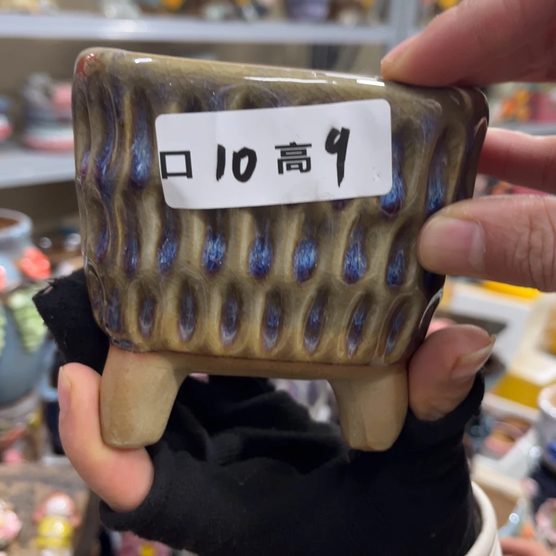 红陶福利福利福利福利