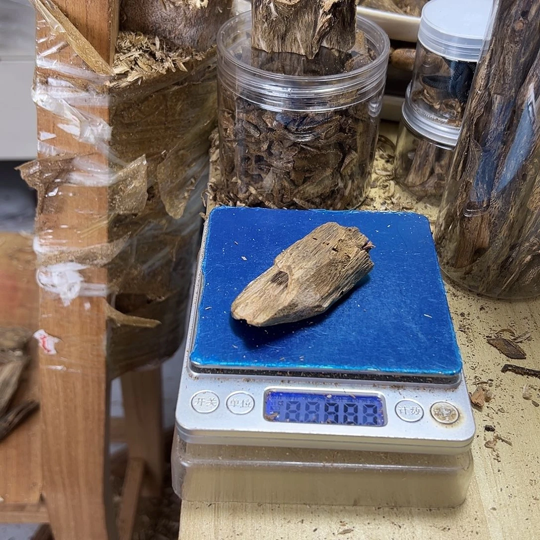 香料绿棋楠虫漏9克乌身