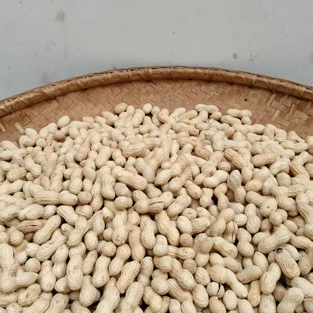 湖北通山特产原味熟花生休闲零食