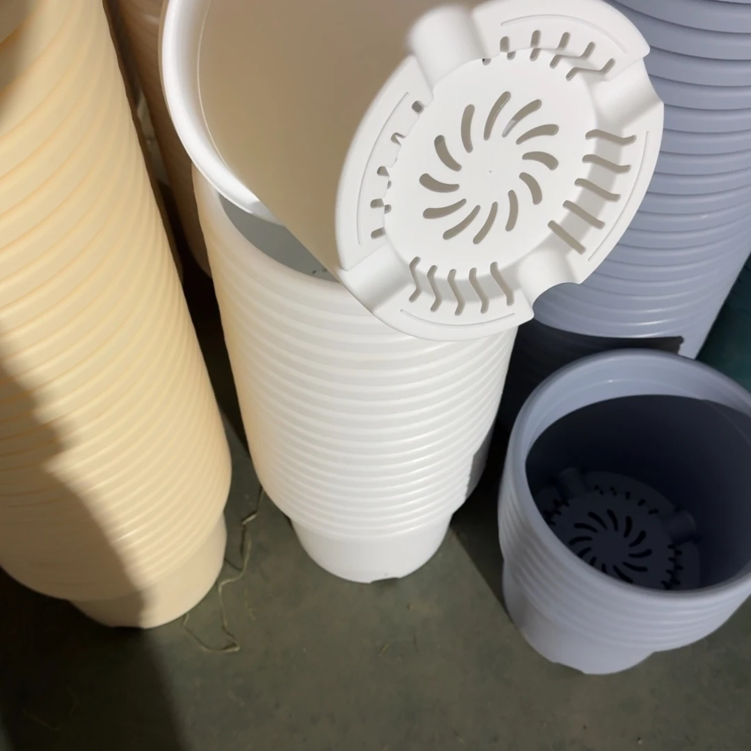 四季5号10个盆10个托盘白色的口径29