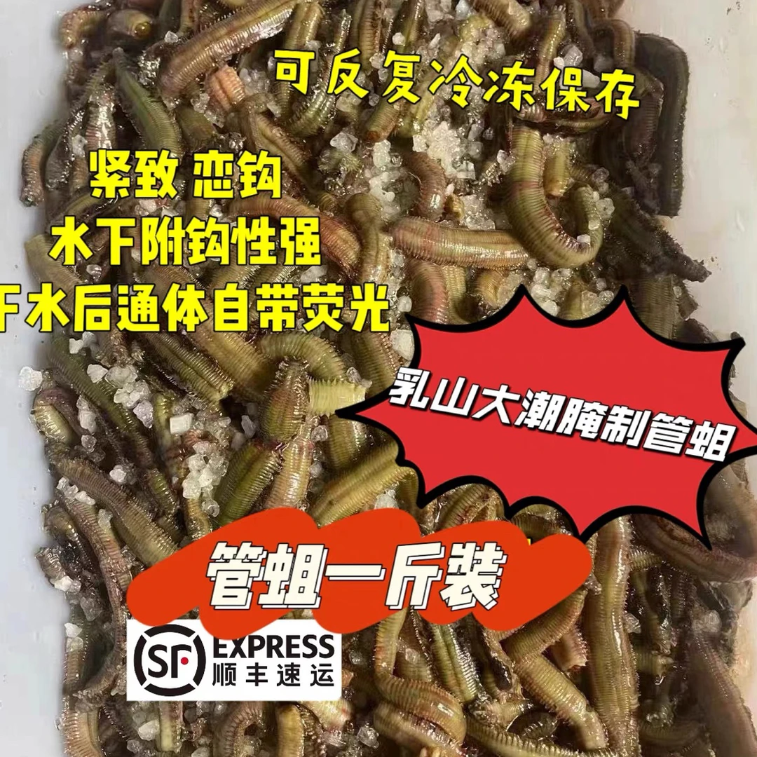乳山大潮腌制管蛆管食管虫皇姑白米子鲈鱼黑头鲷鱼海钓通用饵