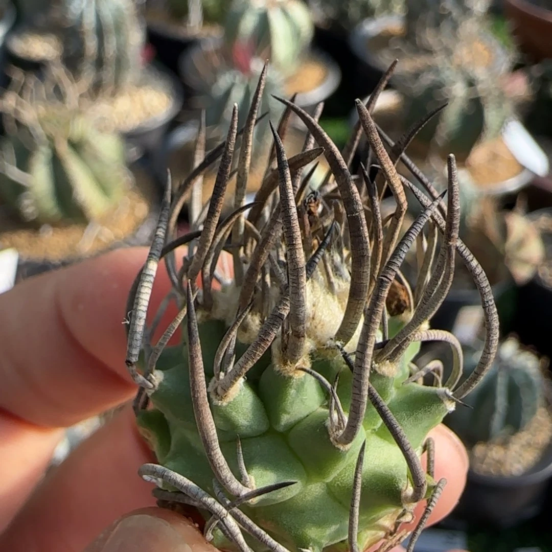 247实生 1111111111