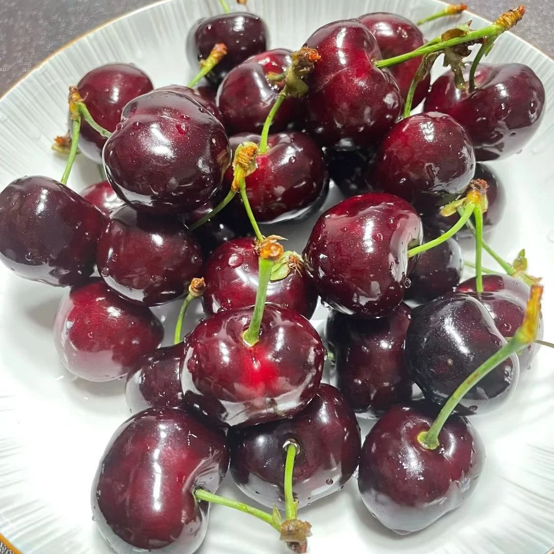 空运 智利车厘子，桑提娜！规格2JD，黑车，净重2斤装，内附果径卡