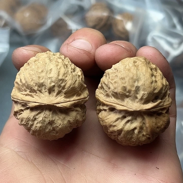 核桃29号麒麟绣球39尺