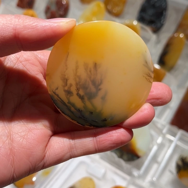 石英质玉（黄龙玉）未镶嵌颈饰