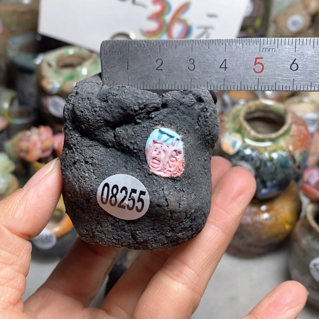 花盆拍3送一个小礼物