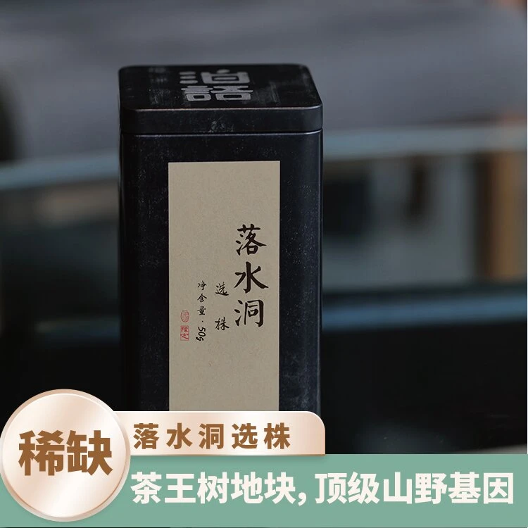 【限定款】2025年【落水洞选株】核心区古树春茶普洱生茶散茶50g