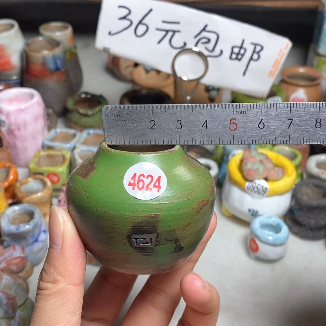 拍5送一个小礼物