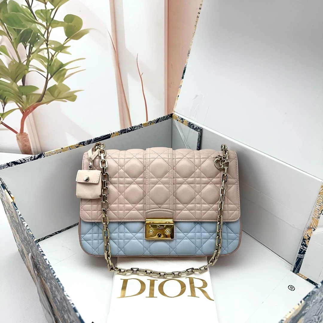 95新 DIOR/迪奥 卉宁/单肩包/C53/17717