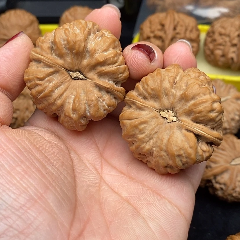 【闪购商品】桃核把件金蟾蛤蟆头42
