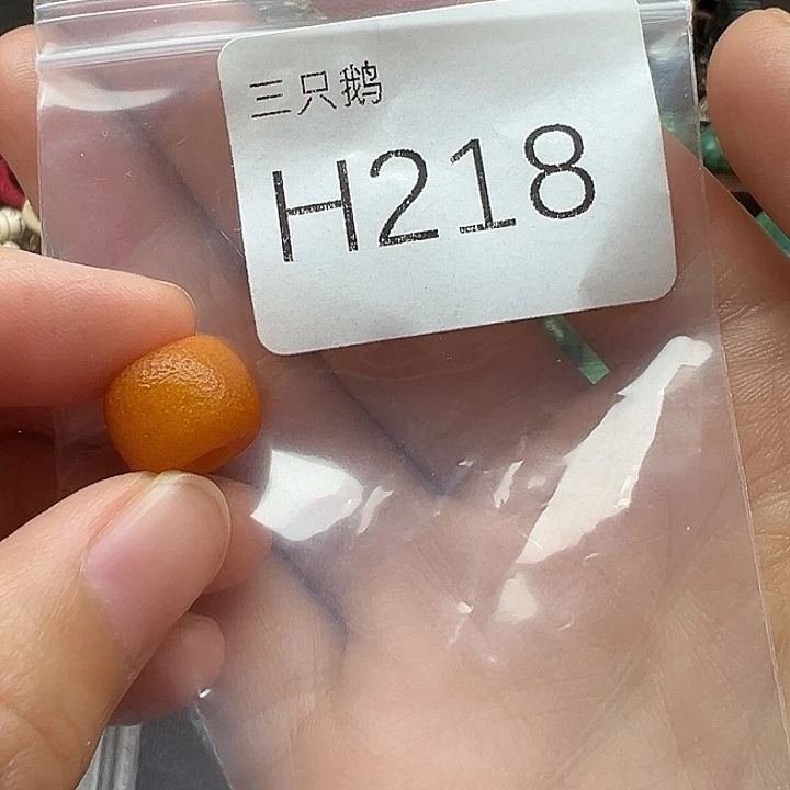 菩提根/象牙果吊坠