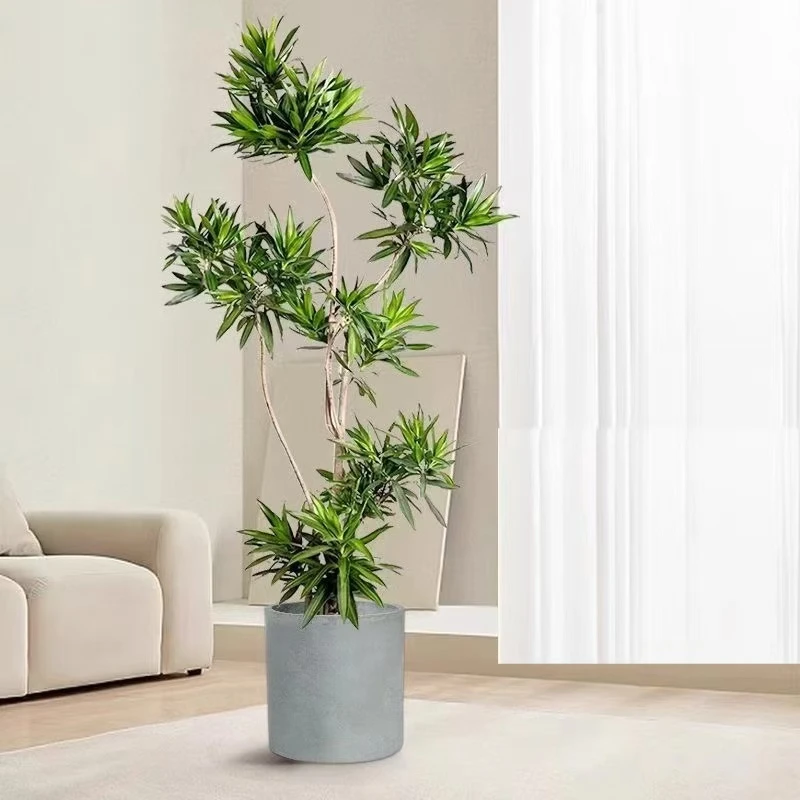 百合竹盆栽大 老桩造型客厅真绿植落地轻奢好养真花室内大型植物