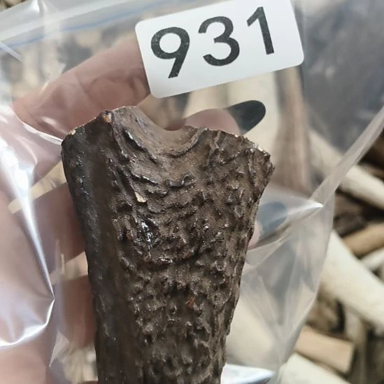 深***忆鹿角鹿角鹿角鹿角鹿角鹿角