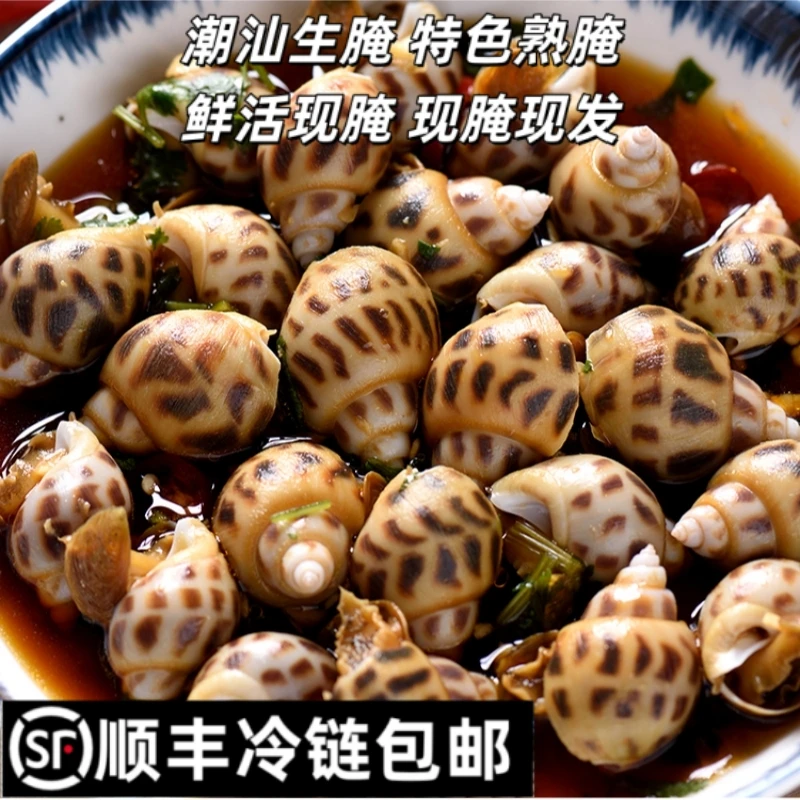 【顺丰直达】【熟腌花螺】潮汕生腌熟腌花螺口感绝佳下酒菜必备