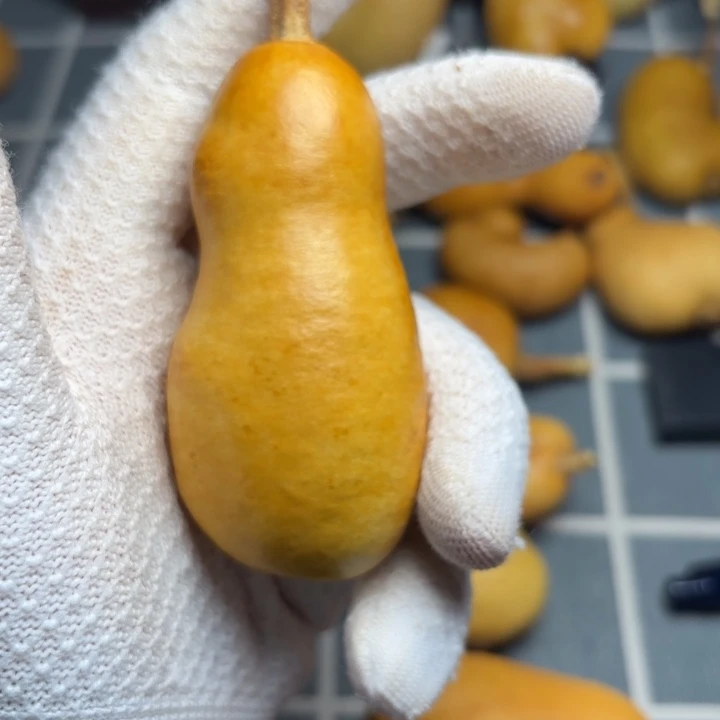 檀***木裂666666666666666