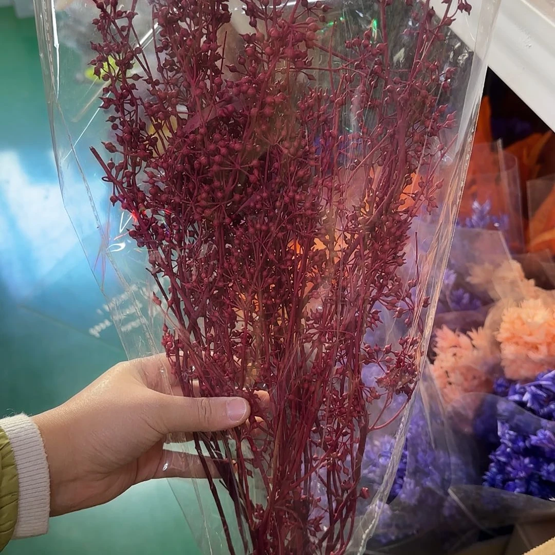 K74号小米果红色1把