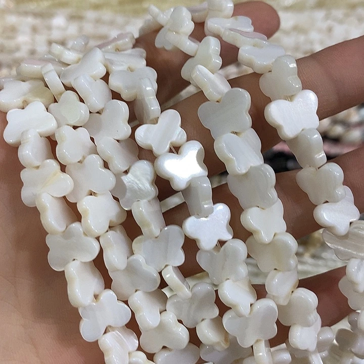 一条竖孔贝壳蝴蝶