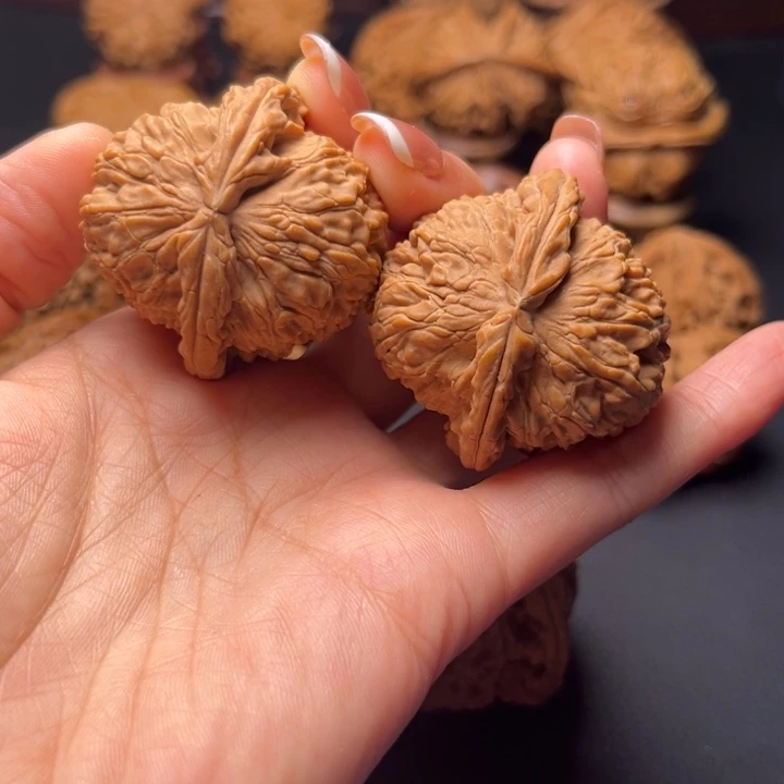 鲁**吃白狮子核桃哈哈哈哈哈哈哈哈哈哈