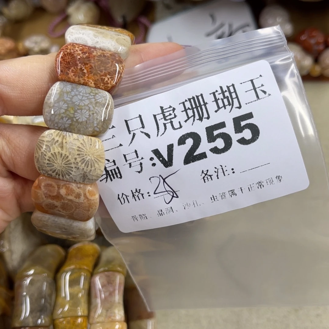 糯***团硅化珊瑚（珊瑚玉）未镶嵌h