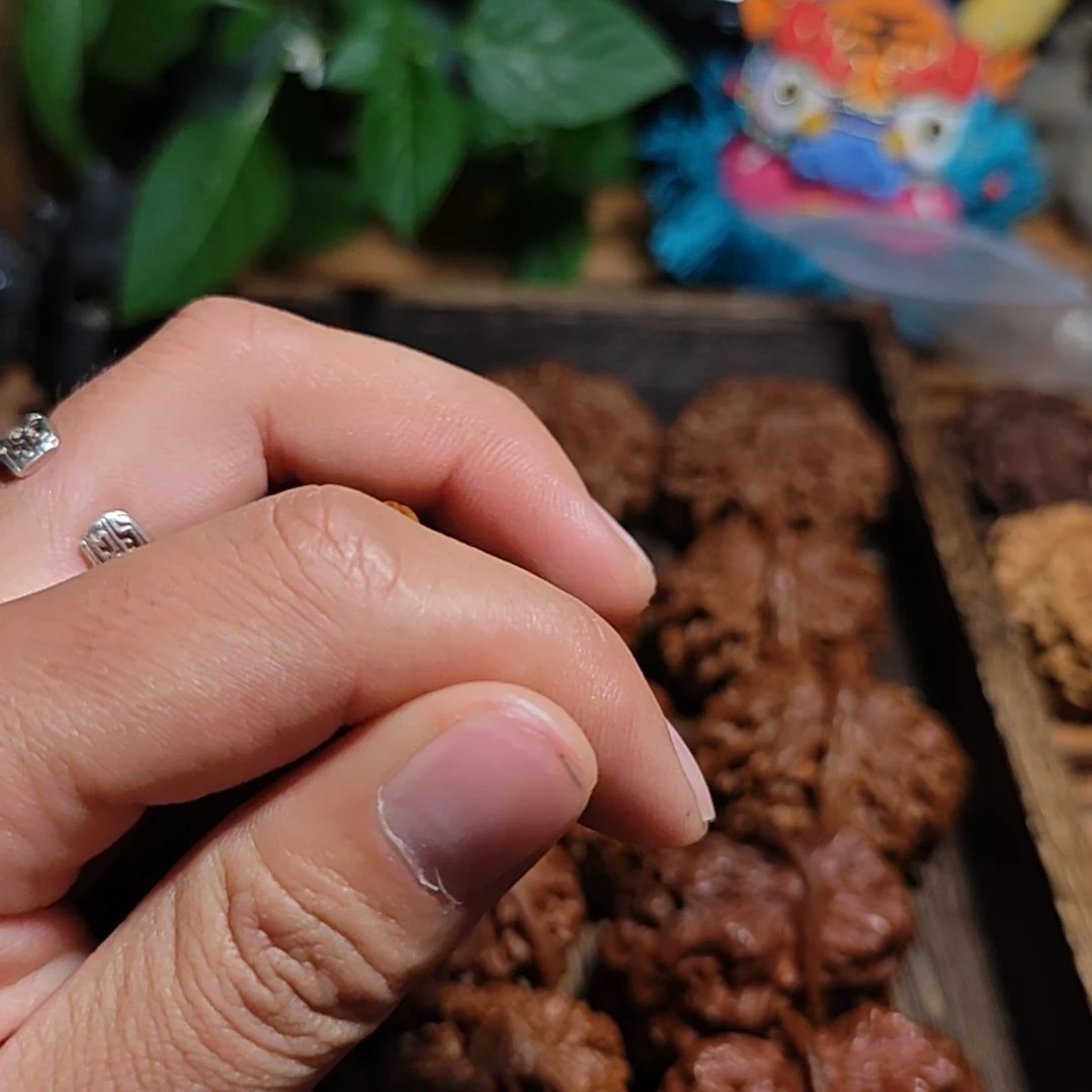 「***」文玩核桃把件云南野生小众秘境文玩核桃