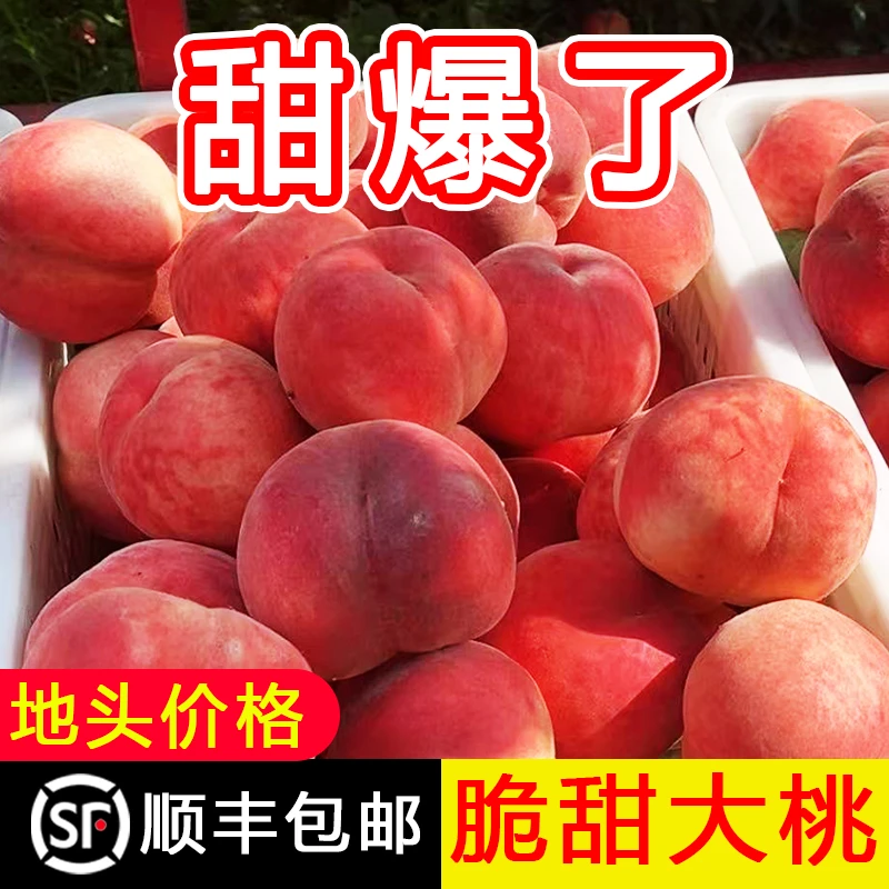 【顺丰包邮】脆桃脆甜水蜜桃现摘新鲜红不软毛脆油密桃子时令水果