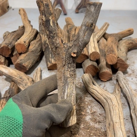 大果紫檀（缅甸花梨）N*