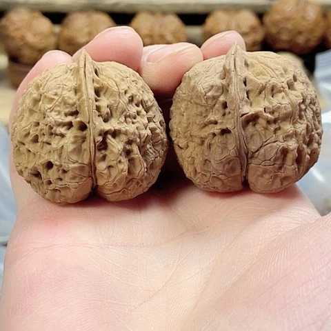 文玩核桃把件磁石金蟾带彩39+