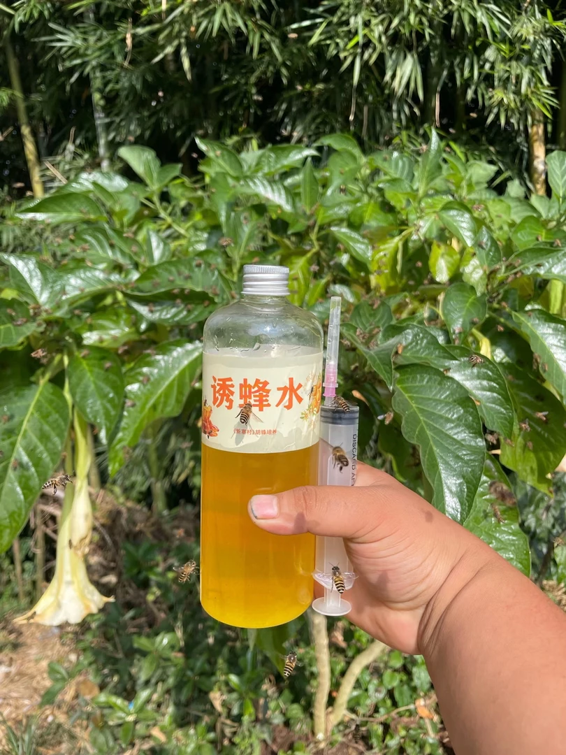 诱蜂水 黄脚七里黑盾黑尾通用