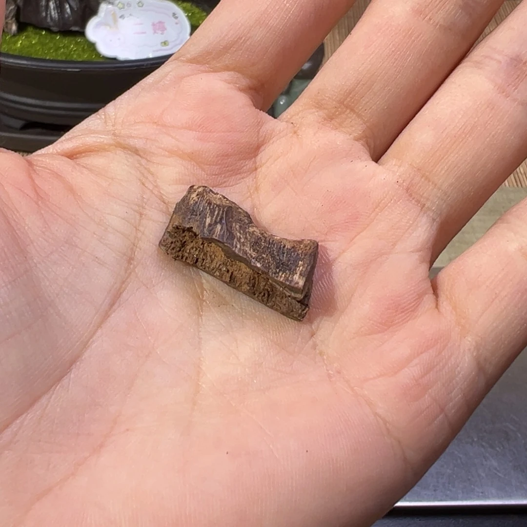 【闪购商品】香榧木海南木料沉水70年代糖结老料0.9克