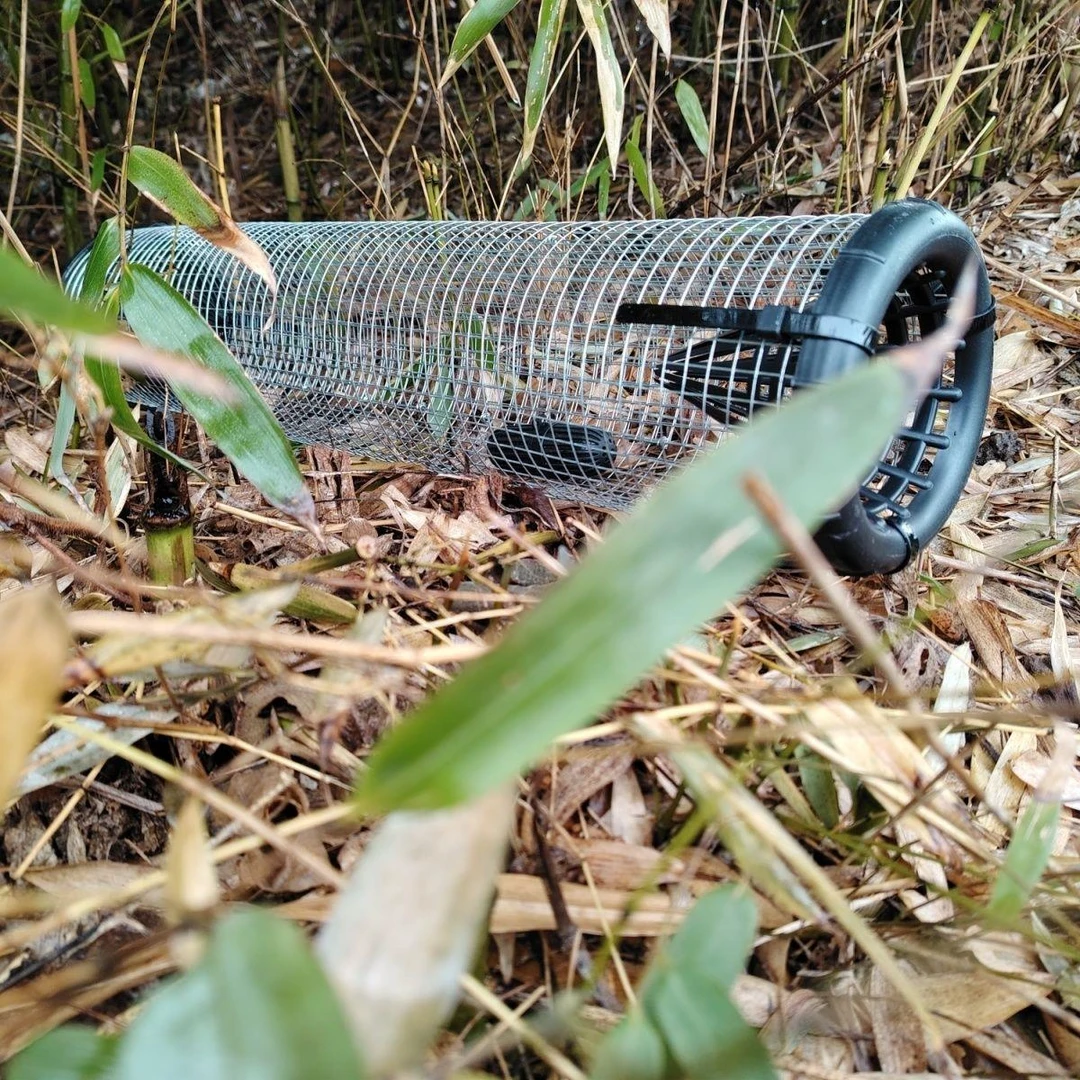 虾笼黄鳝笼蛇神器铁丝笼装蛇器镀锌装蛇铁笼新款双门防蛇铁笼方形