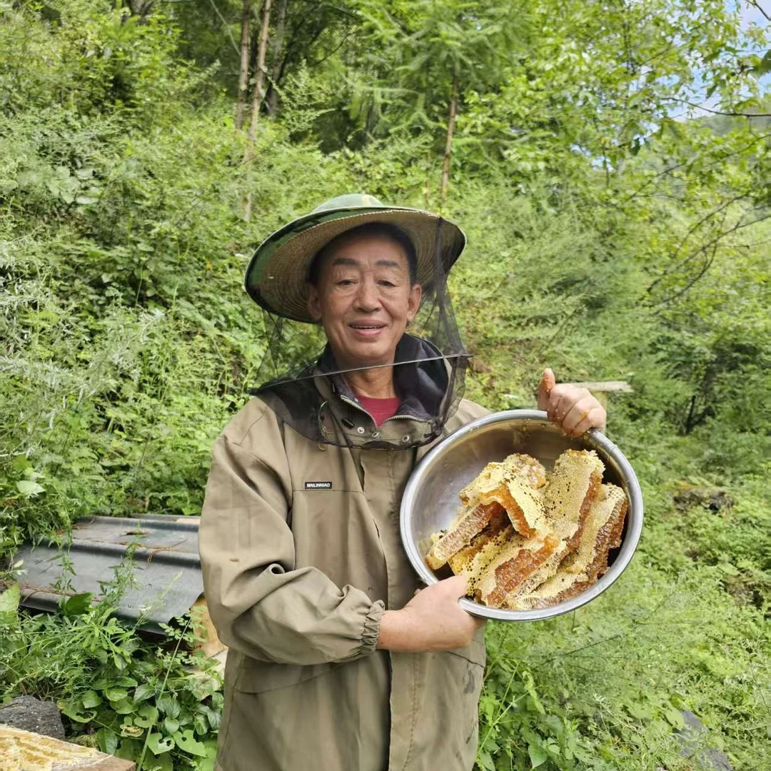 深山中蜂百花蜂蜜土蜂蜜纯正蜂蜜天然野生蜂蜜透明PET瓶装1000克