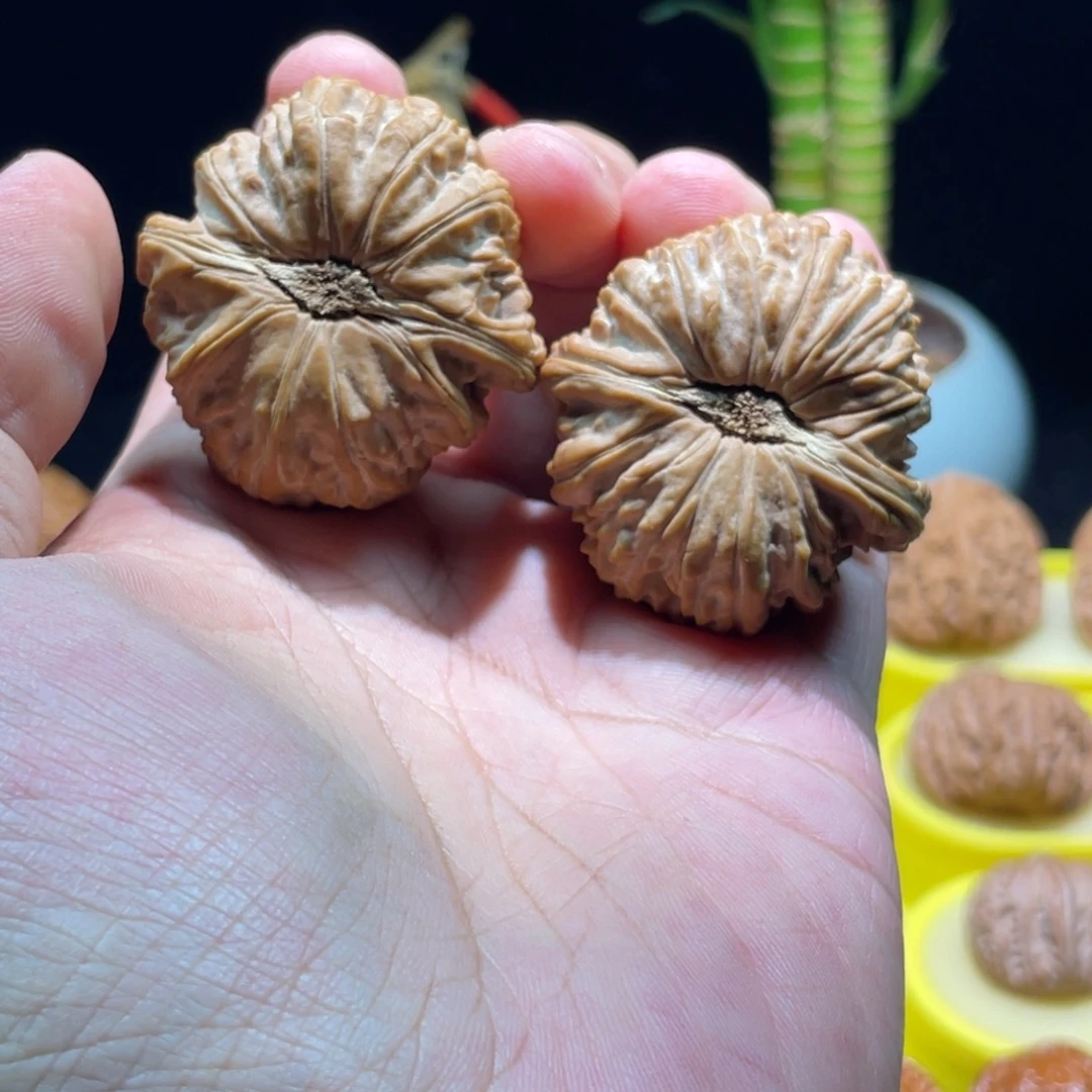 陈***白把件文玩核桃42全品卡姿兰白狮子