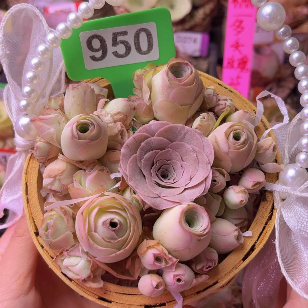 精美珍珠花篮950 带篮子